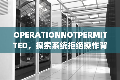 OPERATIONNOTPERMITTED，探索系统拒绝操作背后的深层原因，operationnotpermitted怎么解决