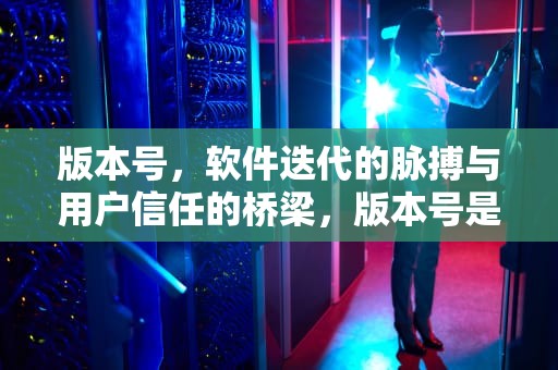 版本号，软件迭代的脉搏与用户信任的桥梁，版本号是什么意思