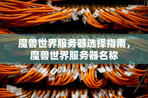 魔兽世界服务器选择指南，魔兽世界服务器名称