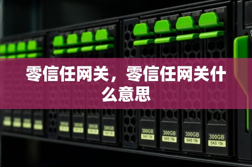 零信任网关，零信任网关什么意思
