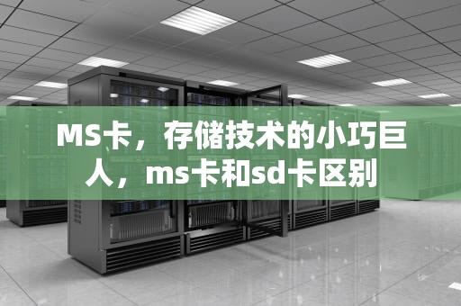 MS卡，存储技术的小巧巨人，ms卡和sd卡区别