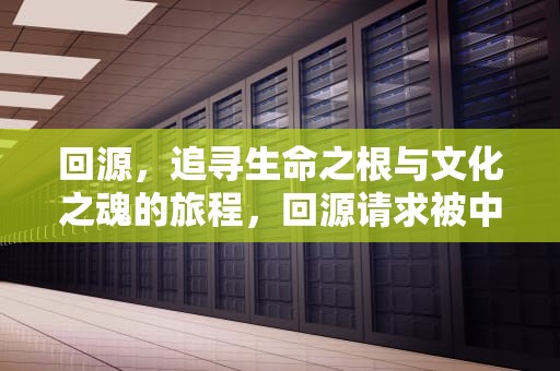 回源，追寻生命之根与文化之魂的旅程，回源请求被中断是什么意思