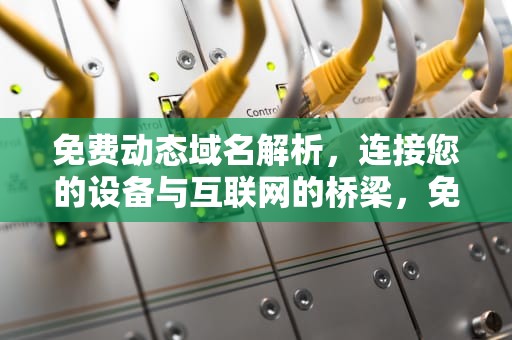 免费动态域名解析，连接您的设备与互联网的桥梁，免费动态域名解析哪个好