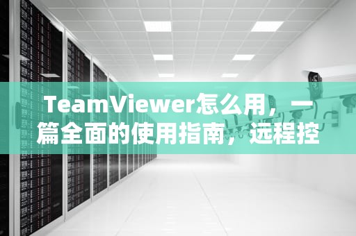 TeamViewer怎么用，一篇全面的使用指南，远程控制软件teamviewer怎么用