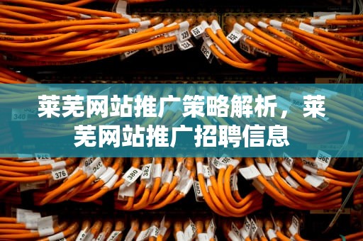 莱芜网站推广策略解析，莱芜网站推广招聘信息