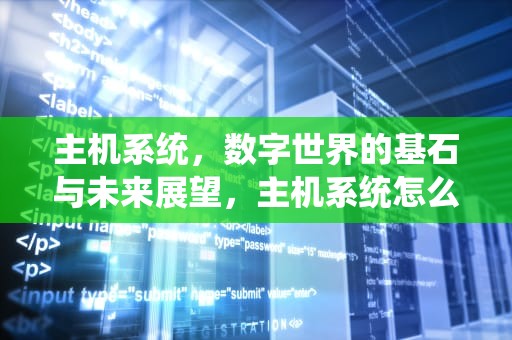 主机系统，数字世界的基石与未来展望，主机系统怎么装
