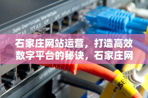 石家庄网站运营，打造高效数字平台的秘诀，石家庄网站运营招聘网