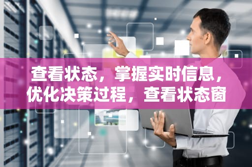 查看状态，掌握实时信息，优化决策过程，查看状态窗的小皇女漫画在哪里看