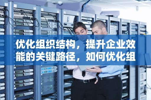 优化组织结构，提升企业效能的关键路径，如何优化组织结构