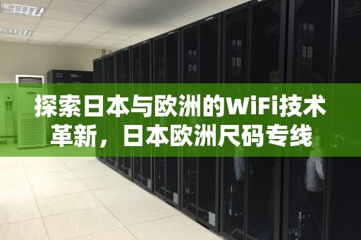 探索日本与欧洲的WiFi技术革新，日本欧洲尺码专线
