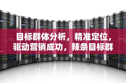 目标群体分析，精准定位，驱动营销成功，辣条目标群体分析