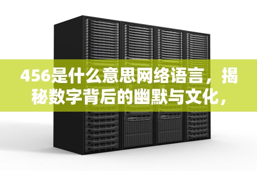 456是什么意思网络语言，揭秘数字背后的幽默与文化，网络术语456是什么意思