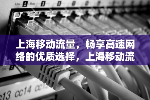 上海移动流量，畅享高速网络的优质选择，上海移动流量不够怎么买最便宜