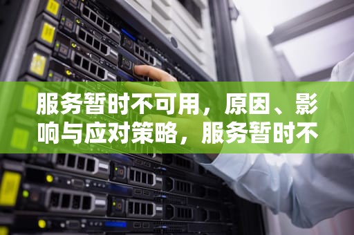 服务暂时不可用，原因、影响与应对策略，服务暂时不可用请稍后再试小米主题