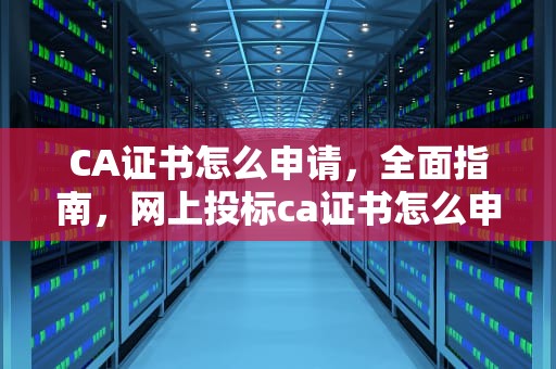 CA证书怎么申请，全面指南，网上投标ca证书怎么申请