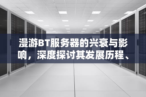 漫游BT服务器的兴衰与影响，深度探讨其发展历程、挑战与未来趋势，漫游bt站