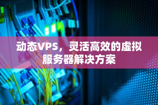 动态VPS，灵活高效的虚拟服务器解决方案
