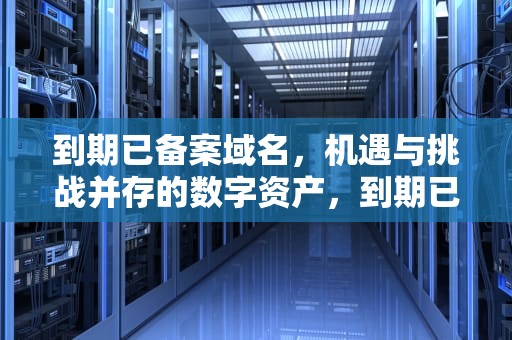 到期已备案域名，机遇与挑战并存的数字资产，到期已备案域名查询