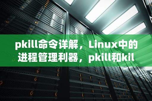 pkill命令详解，Linux中的进程管理利器，pkill和kill的区别