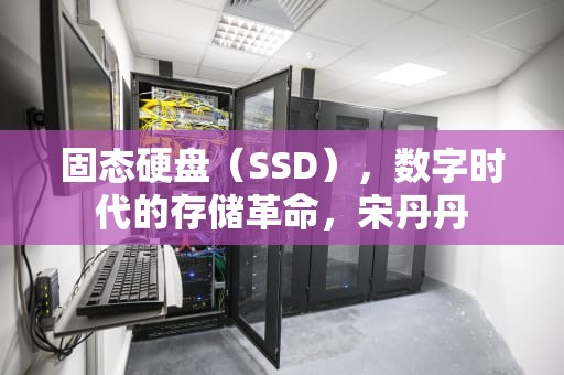 固态硬盘（SSD），数字时代的存储革命，宋丹丹