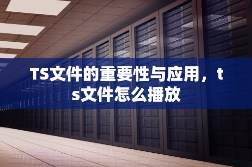 TS文件的重要性与应用，ts文件怎么播放