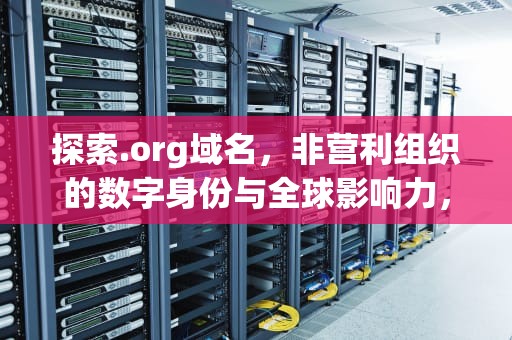 探索.org域名，非营利组织的数字身份与全球影响力，org域名是什么网站