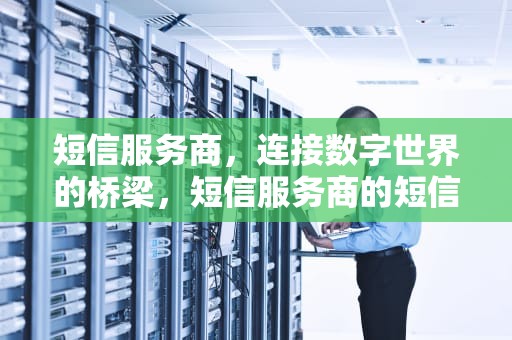 短信服务商，连接数字世界的桥梁，短信服务商的短信接口