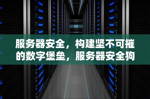 服务器安全，构建坚不可摧的数字堡垒，服务器安全狗