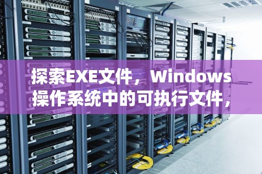 探索EXE文件，Windows操作系统中的可执行文件，exe是什么文件怎么打开