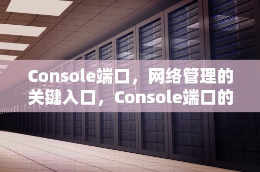 Console端口，网络管理的关键入口，Console端口的作用