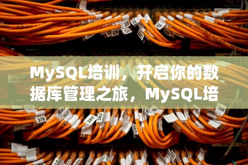 MySQL培训，开启你的数据库管理之旅，MySQL培训费用
