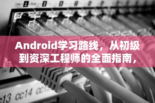 Android学习路线，从初级到资深工程师的全面指南，安卓学习路线图
