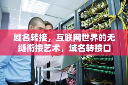 域名转接，互联网世界的无缝衔接艺术，域名转接口