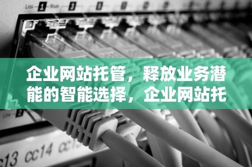 企业网站托管，释放业务潜能的智能选择，企业网站托管一个月多少钱
