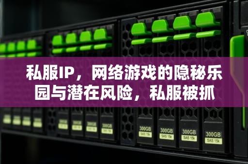 私服IP，网络游戏的隐秘乐园与潜在风险，私服被抓