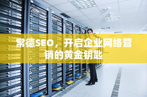 常德SEO，开启企业网络营销的黄金钥匙