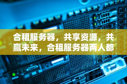 合租服务器，共享资源，共赢未来，合租服务器两人都能看到记录吗