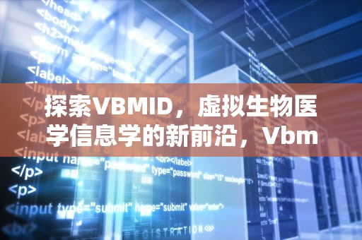 探索VBMID，虚拟生物医学信息学的新前沿，Vbmid函数