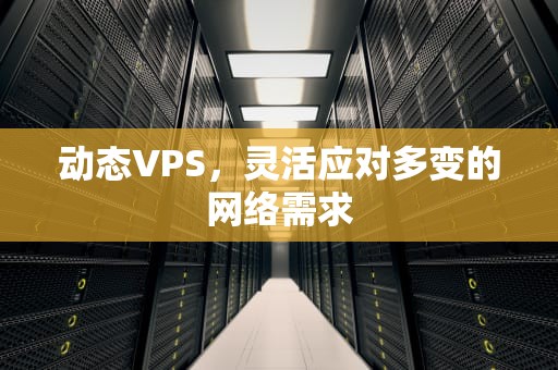 动态VPS，灵活应对多变的网络需求
