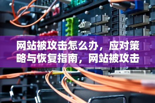 网站被攻击怎么办，应对策略与恢复指南，网站被攻击怎么办啊