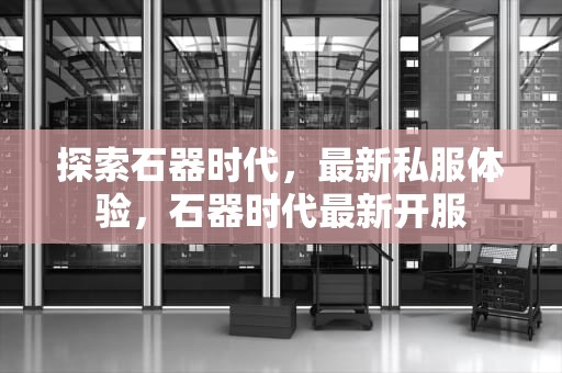 探索石器时代，最新私服体验，石器时代最新开服