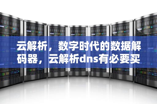 云解析，数字时代的数据解码器，云解析dns有必要买吗