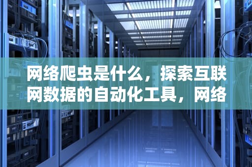 网络爬虫是什么，探索互联网数据的自动化工具，网络爬虫是什么意思