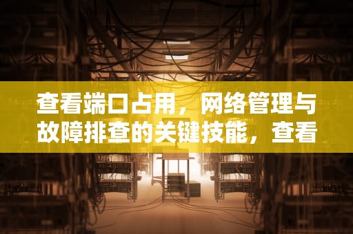 查看端口占用，网络管理与故障排查的关键技能，查看端口占用命令