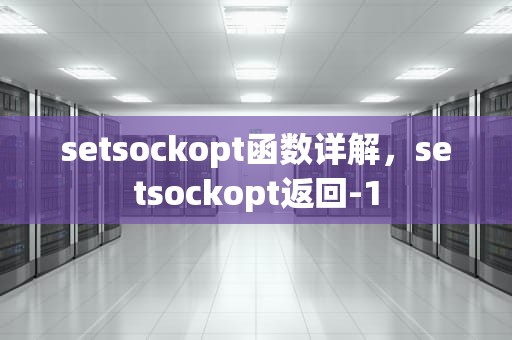 setsockopt函数详解，setsockopt返回-1