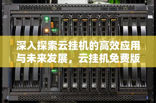 深入探索云挂机的高效应用与未来发展，云挂机免费版无限挂机