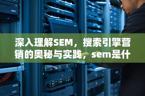 深入理解SEM，搜索引擎营销的奥秘与实践，sem是什么显微镜