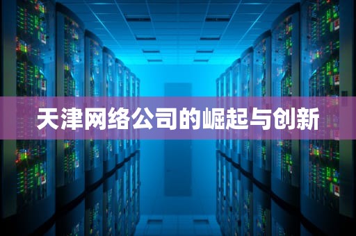 天津网络公司的崛起与创新