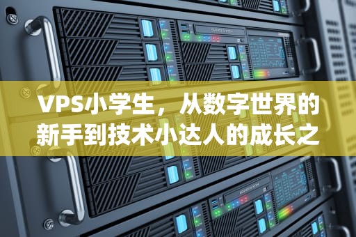 VPS小学生，从数字世界的新手到技术小达人的成长之路，vps小学生博客