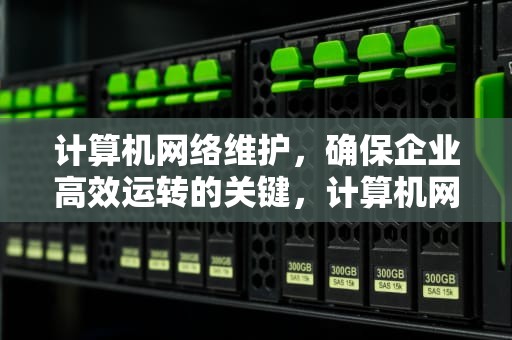 计算机网络维护，确保企业高效运转的关键，计算机网络维护是做什么的